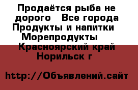 Продаётся рыба не дорого - Все города Продукты и напитки » Морепродукты   . Красноярский край,Норильск г.